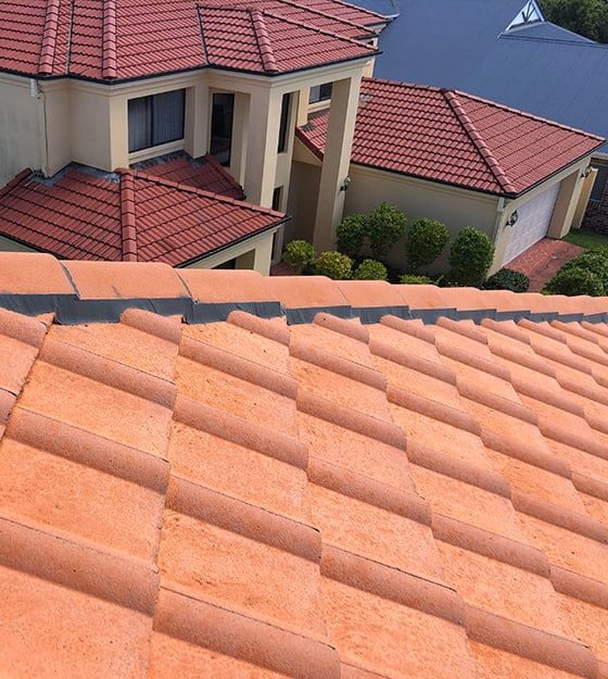 Clean Tile Roofing — Roofers In Gold Coast, QLD