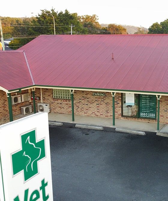 Vet Clinic — Roofers In Gold Coast, QLD